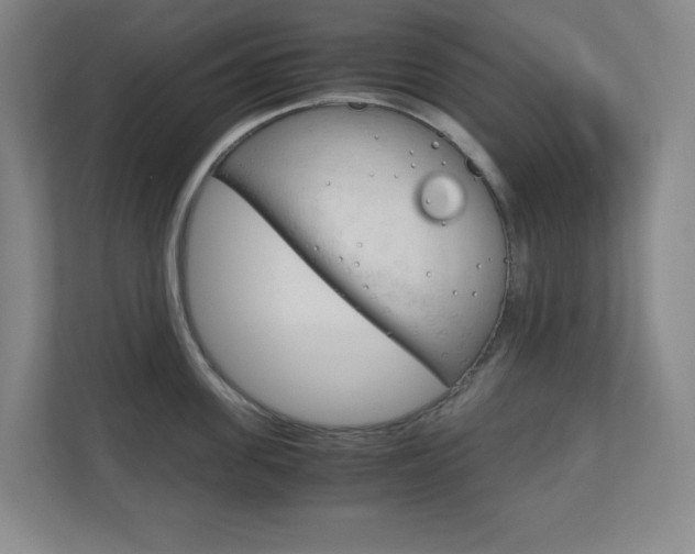 X0000110910955200906181003
