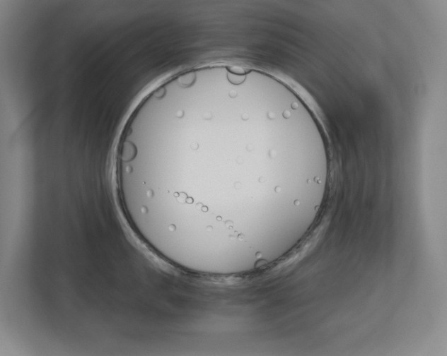 X0000110910957200906181003