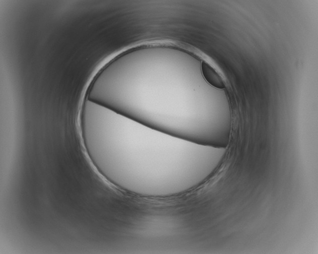 X0000110910959200906181003
