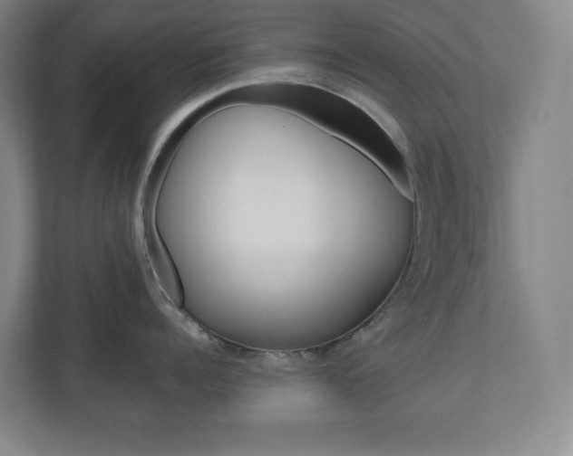X0000110910960200906181003