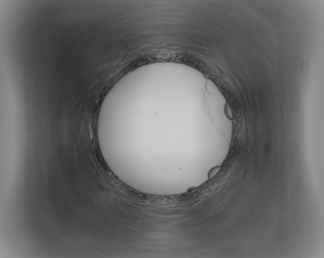 X0000110910962200906181003