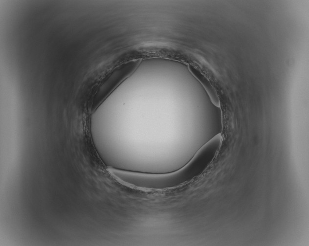 X0000110910965200906181003