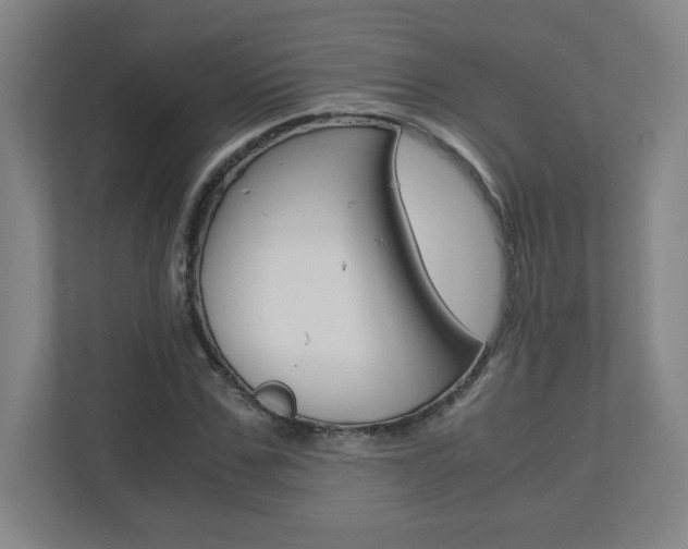 X0000110910971200906181003