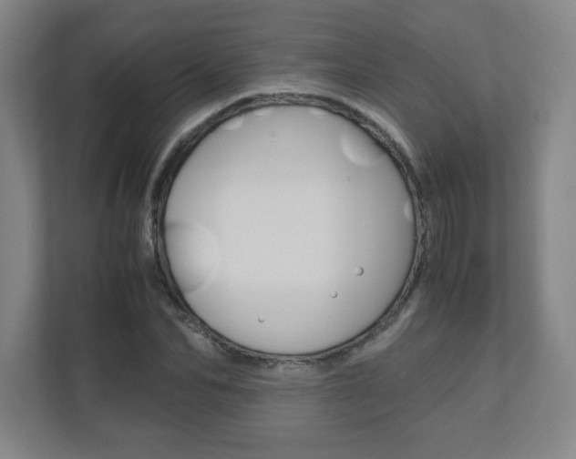 X0000110910974200906181003