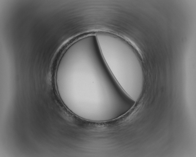 X0000110910975200906181003