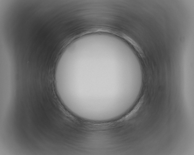 X0000110910977200906181003