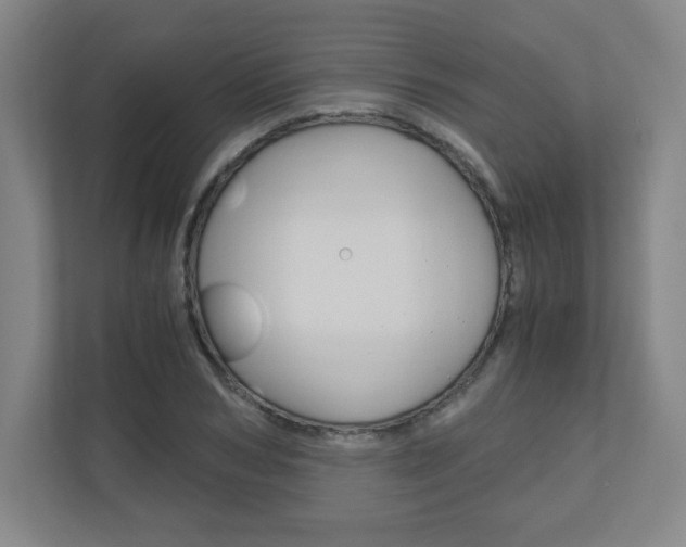 X0000110910978200906181003