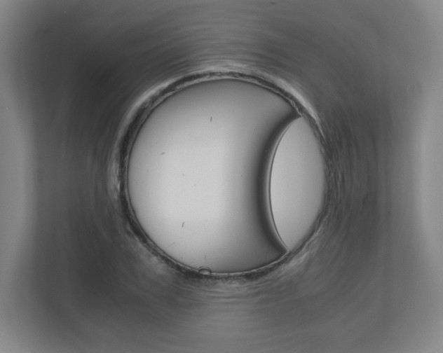 X0000110910979200906181003
