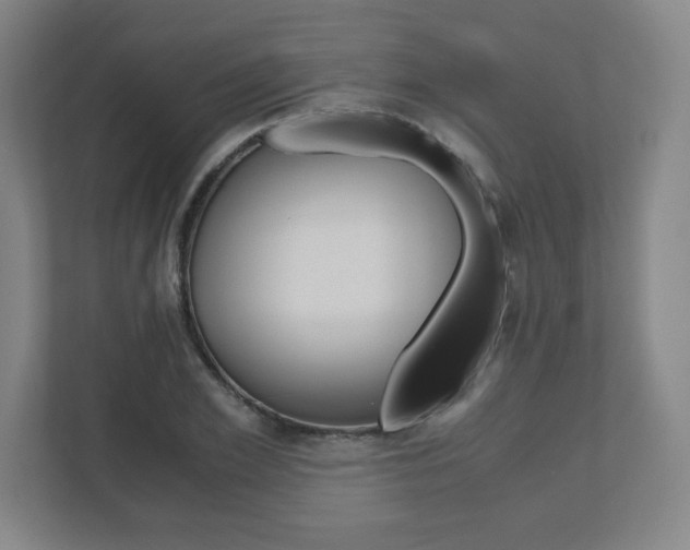 X0000110910981200906181002