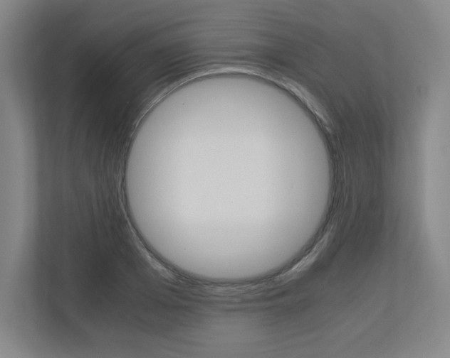 X0000110910985200906181002