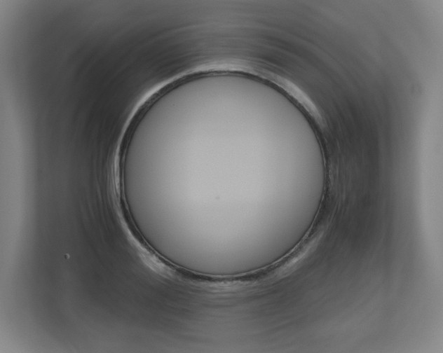 X0000110910988200906181002