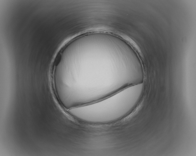 X0000110910989200906181002