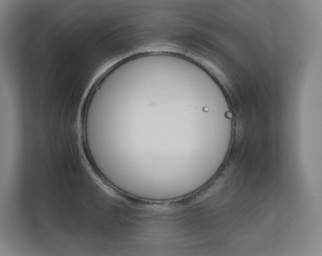X0000110910990200906181002