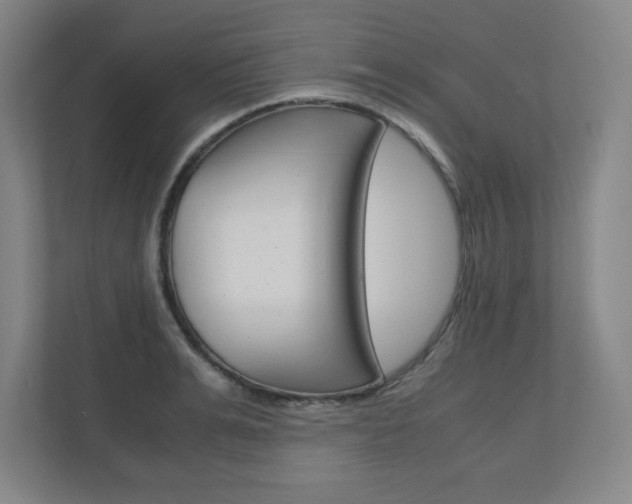 X0000110910991200906181002