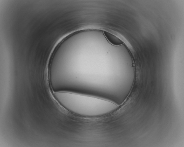 X0000110910996200906181002