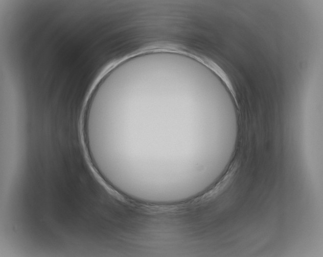 X0000110910997200906181002