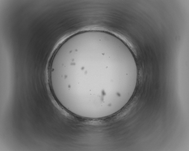 X0000110910998200906181002