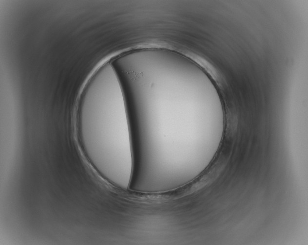X0000110911000200906181002
