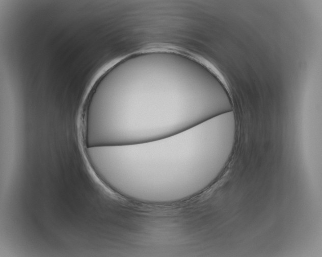 X0000110911003200906181002