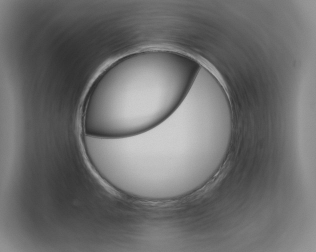 X0000110911005200906181002