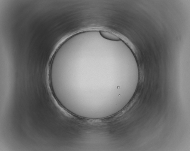 X0000110911006200906181002