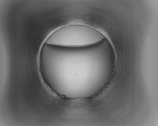 X0000110911008200906181002