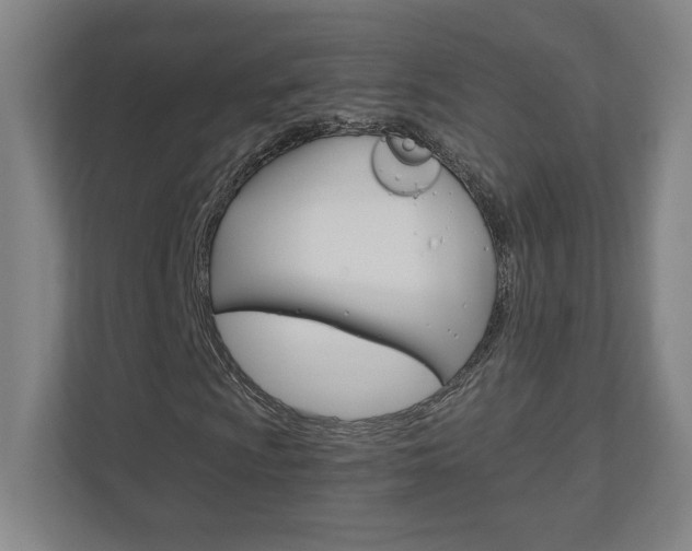 X0000110911009200906181002