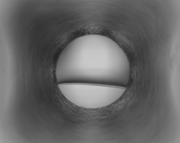 X0000110911010200906181002