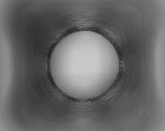 X0000110911012200906181002
