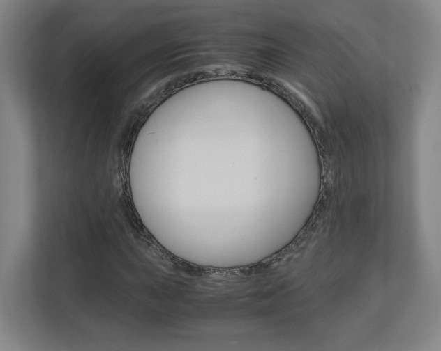 X0000110911015200906181002