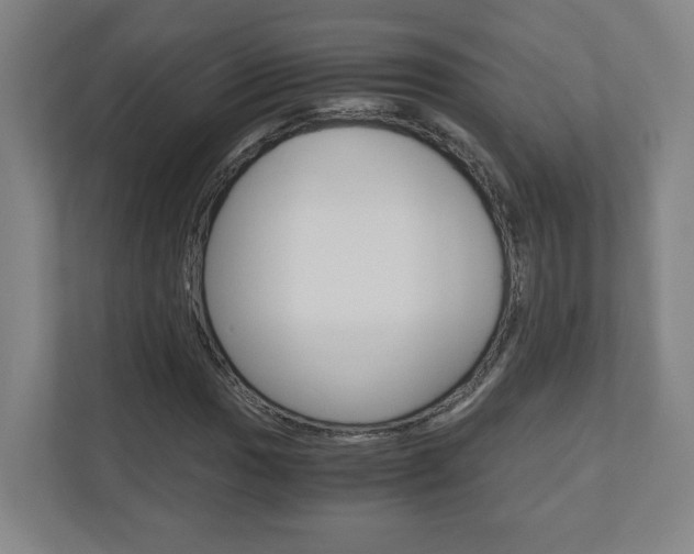 X0000110911017200906181002