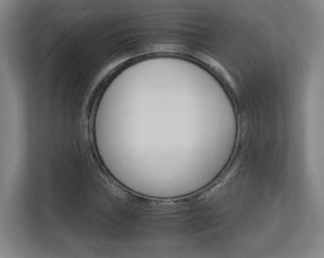 X0000110911019200906181002