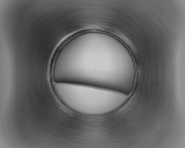 X0000110911020200906181002