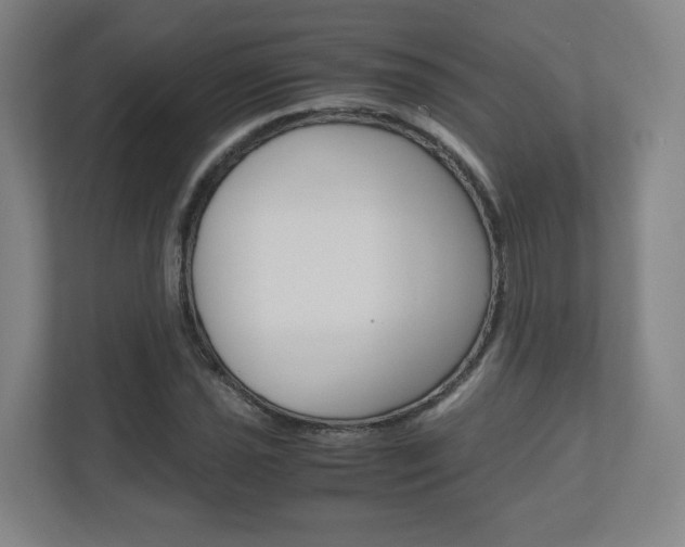 X0000110911021200906181002