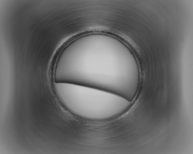 X0000110911022200906181002