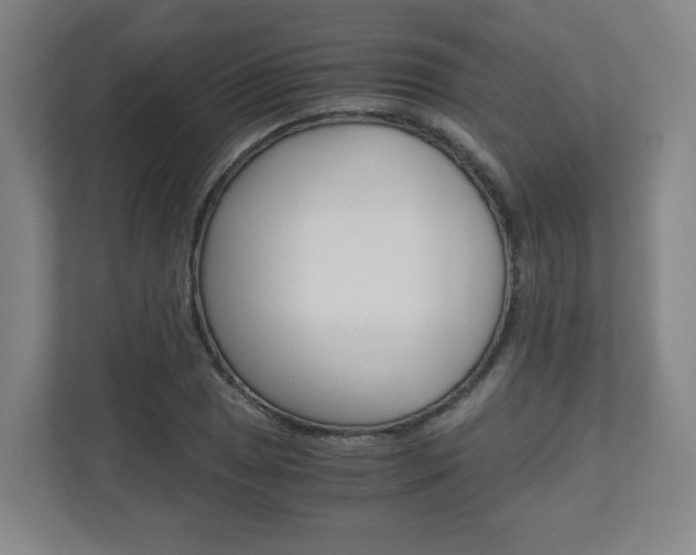 X0000110911025200906181002