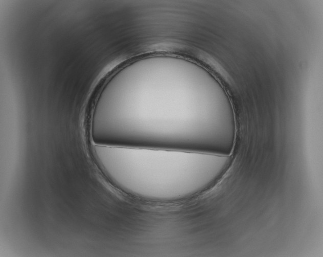 X0000110911026200906181002