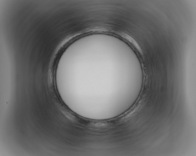 X0000110911027200906181002