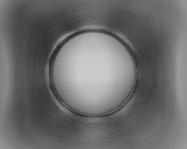 X0000110911030200906181002