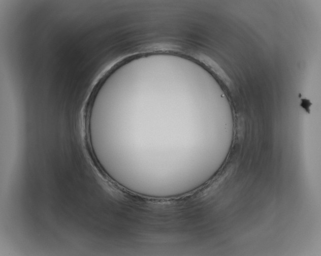 X0000110911031200906181002