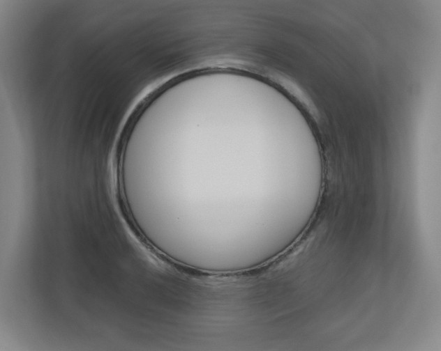 X0000110911032200906181002