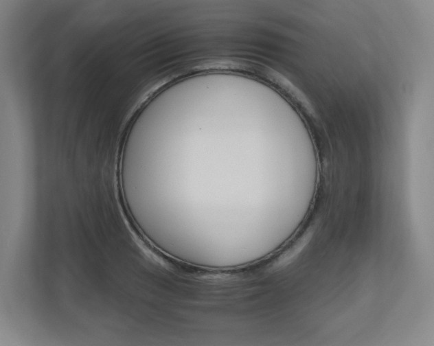X0000110911033200906181002