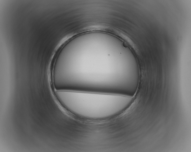 X0000110911034200906181002