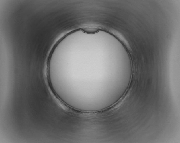 X0000110911040200906181002