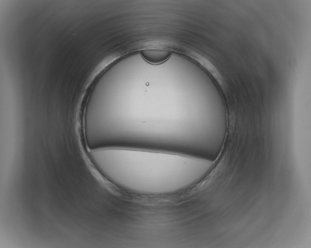 X0000110911042200906181002