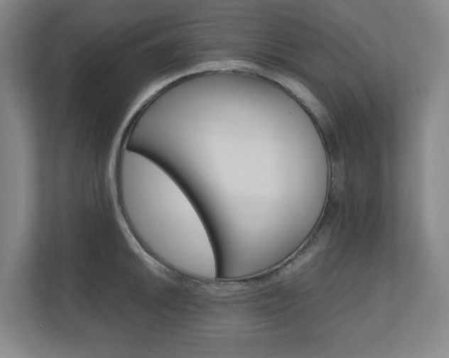 X0000110911046200906181002