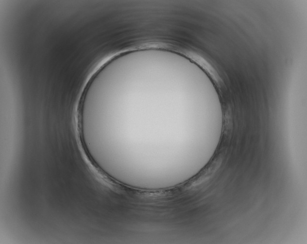 X0000110911047200906181002