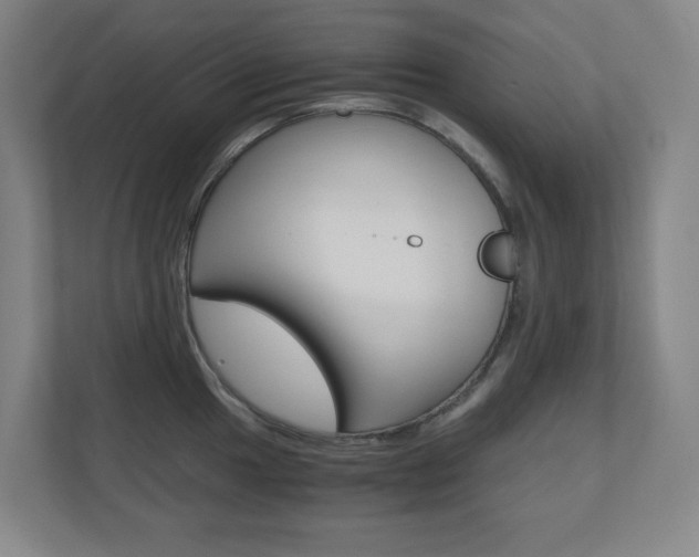 X0000110911049200906181002