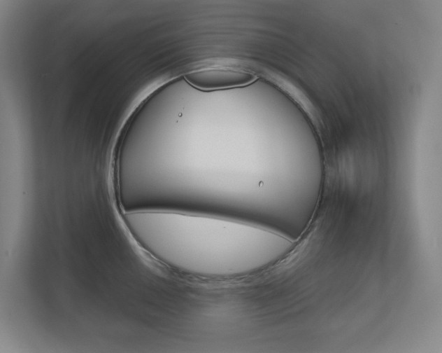 X0000110911050200906181002