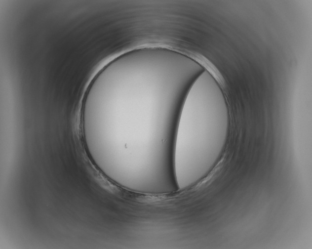 X0000110911052200906181002